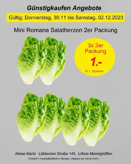 Mini Romana Salat
